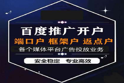 竞价推广代运营：成功案例解析